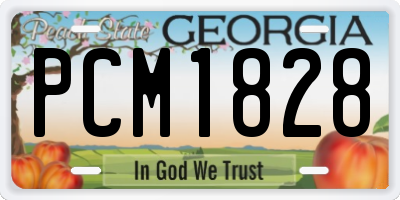 GA license plate PCM1828