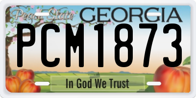 GA license plate PCM1873