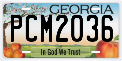 GA license plate PCM2036