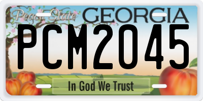 GA license plate PCM2045