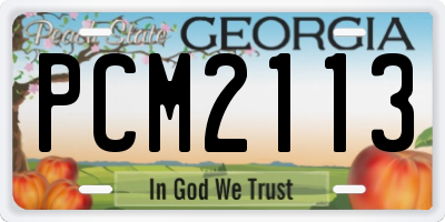GA license plate PCM2113