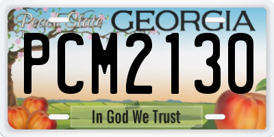 GA license plate PCM2130