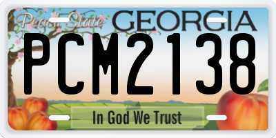 GA license plate PCM2138
