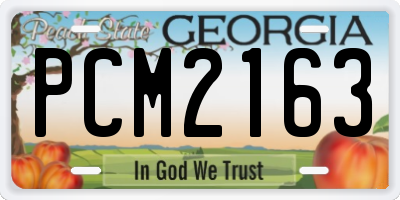 GA license plate PCM2163