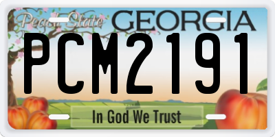 GA license plate PCM2191