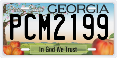 GA license plate PCM2199