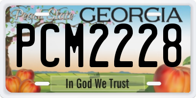 GA license plate PCM2228