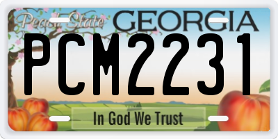 GA license plate PCM2231