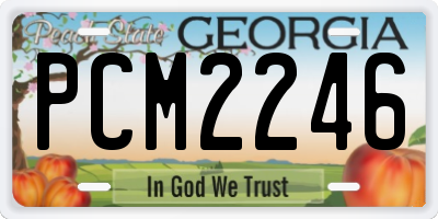 GA license plate PCM2246