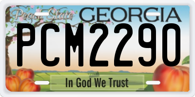 GA license plate PCM2290