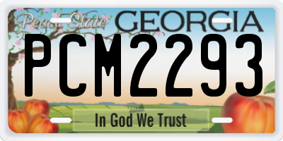 GA license plate PCM2293