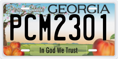 GA license plate PCM2301