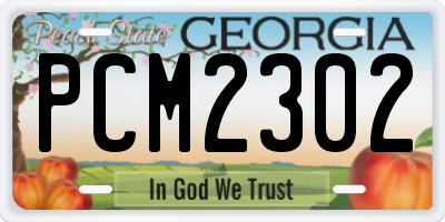 GA license plate PCM2302