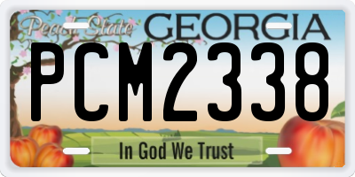 GA license plate PCM2338