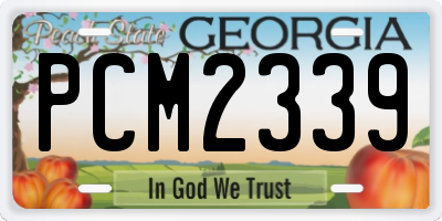 GA license plate PCM2339