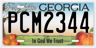 GA license plate PCM2344