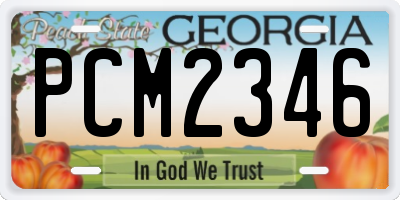 GA license plate PCM2346
