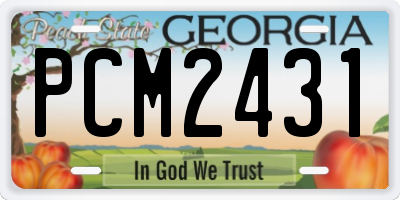 GA license plate PCM2431
