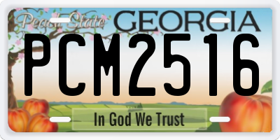 GA license plate PCM2516