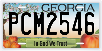 GA license plate PCM2546