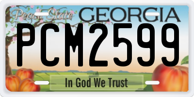 GA license plate PCM2599