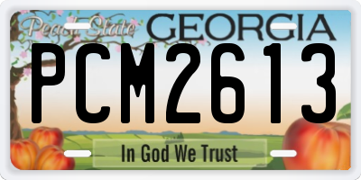 GA license plate PCM2613