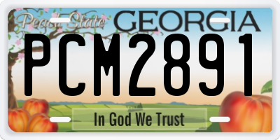 GA license plate PCM2891