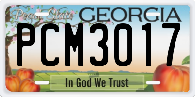 GA license plate PCM3017