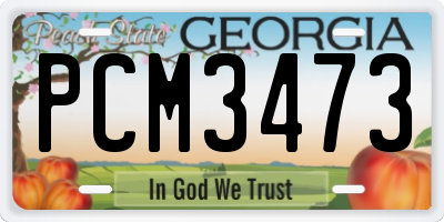 GA license plate PCM3473