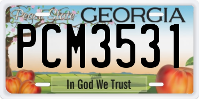 GA license plate PCM3531