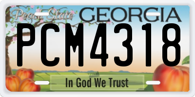 GA license plate PCM4318
