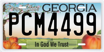 GA license plate PCM4499