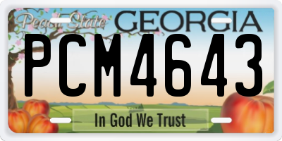 GA license plate PCM4643