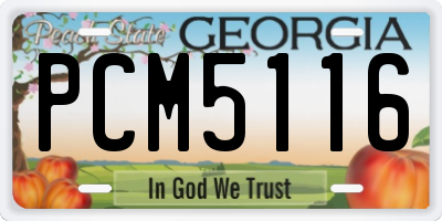 GA license plate PCM5116