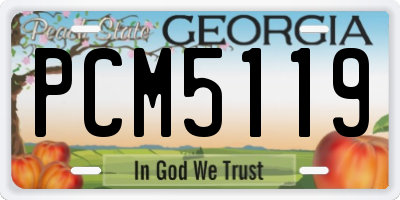 GA license plate PCM5119