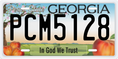 GA license plate PCM5128