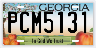 GA license plate PCM5131