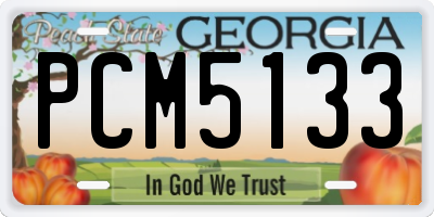 GA license plate PCM5133