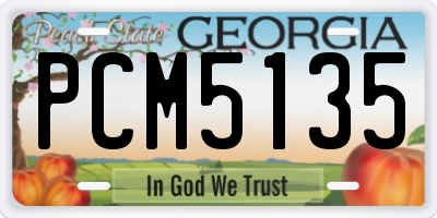 GA license plate PCM5135