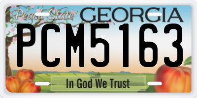 GA license plate PCM5163