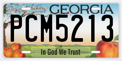 GA license plate PCM5213