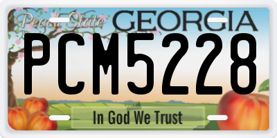 GA license plate PCM5228