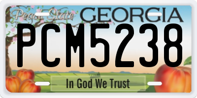 GA license plate PCM5238