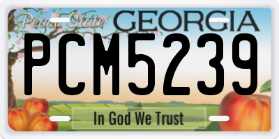 GA license plate PCM5239