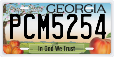 GA license plate PCM5254
