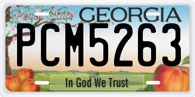 GA license plate PCM5263