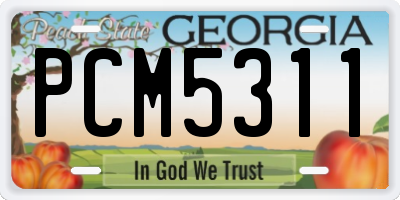GA license plate PCM5311