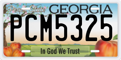 GA license plate PCM5325
