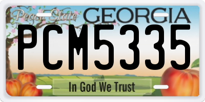 GA license plate PCM5335