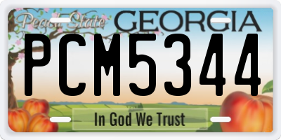 GA license plate PCM5344